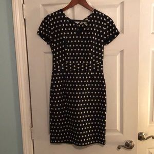 Banana Republic Polka Dot Dress